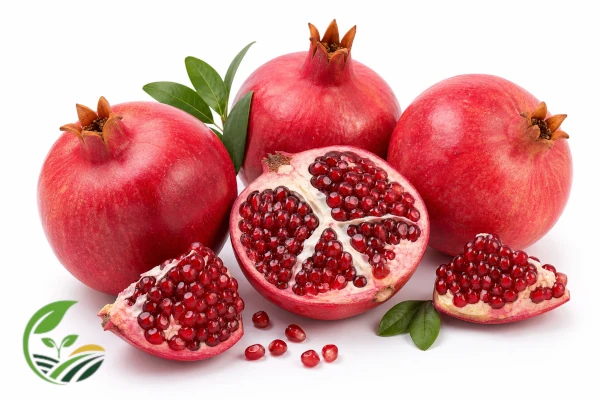 Fresh Egyptian pomegranates